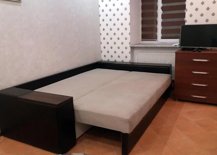 Comfortable Apartment On Franko